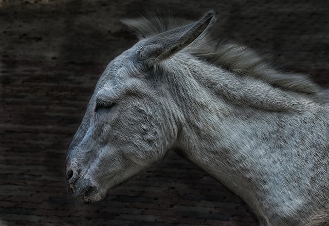 The Power and the Glory: Imago&nbsp;Dei