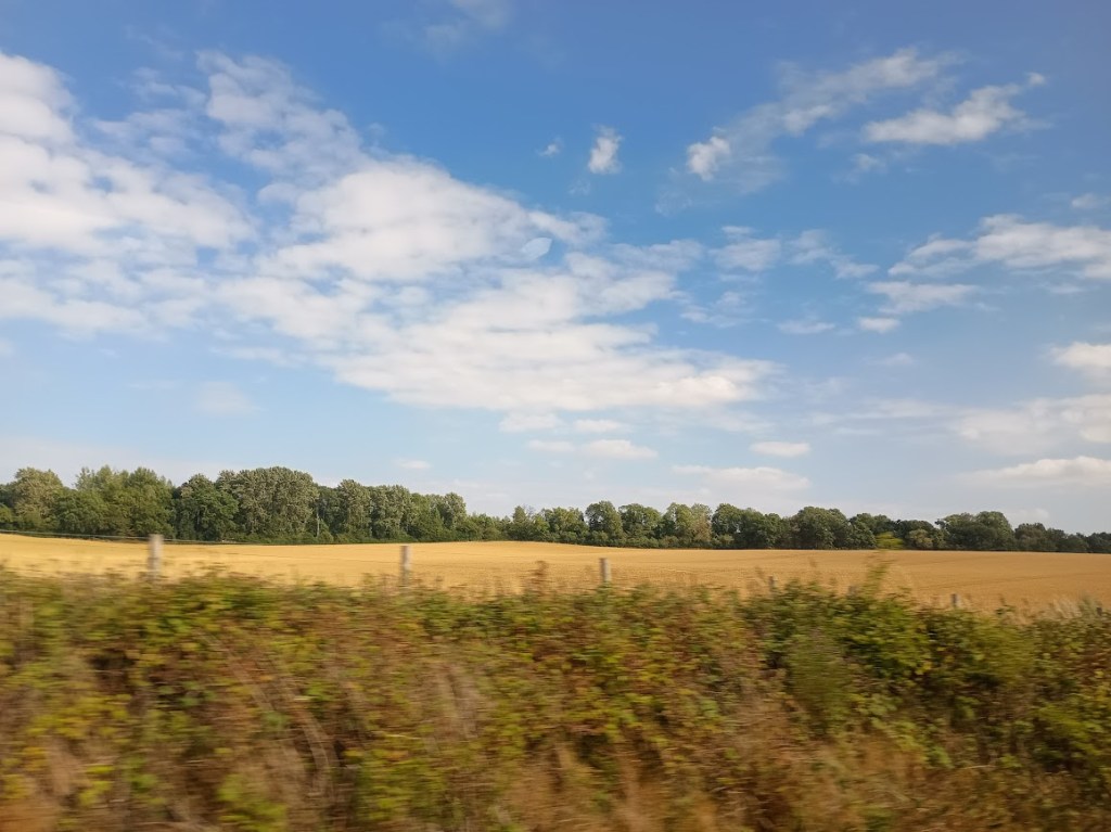 Of Wizards, Witches, and Coming&nbsp;Home