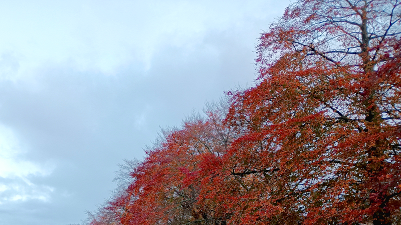 What I’m Reading (and More) – Autumn 2025&nbsp;edition